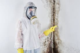 Best Forensic Mold Investigation  in Penrose, CO